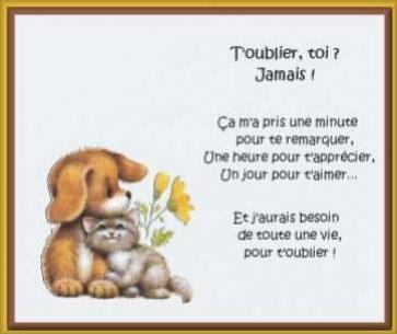 je toublirais j'amais